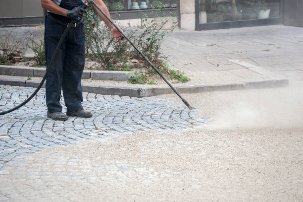 Best Roof Washing  in Somerset, PA